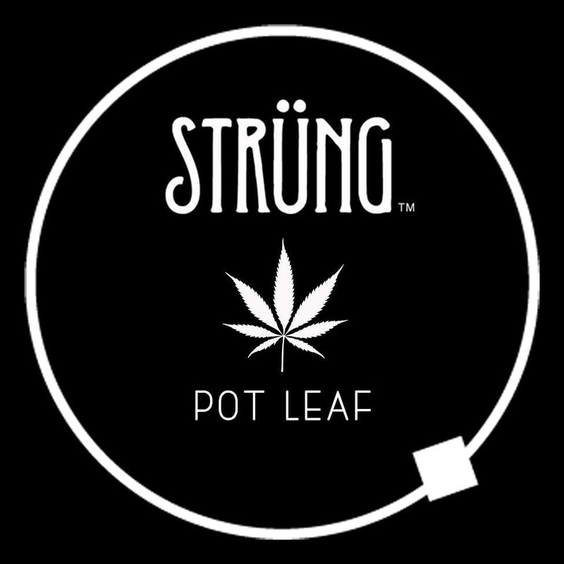 POT LEAF – “LAST DANCE WITH MARY JANE”