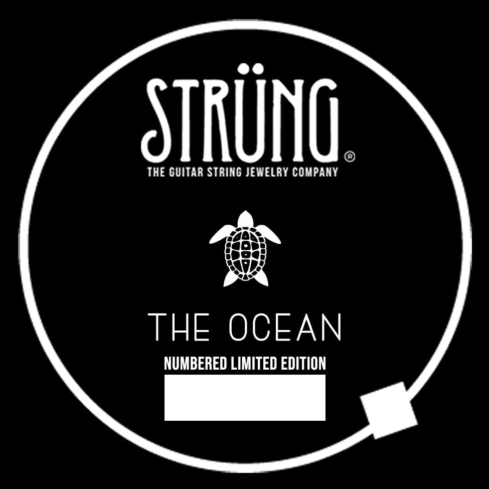 THE OCEAN - SURFIN' USA