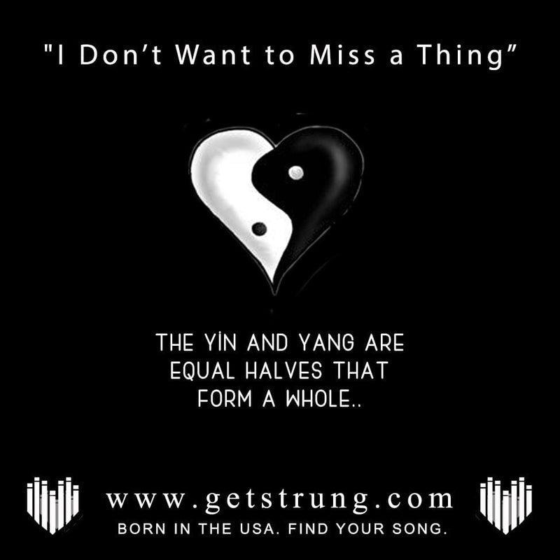 THE YANG - "I DON'T WANT TO MISS A THING"