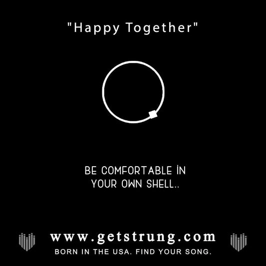 Strung guitar string jewelry, turtle, The Turtles, Happy Together, find your song