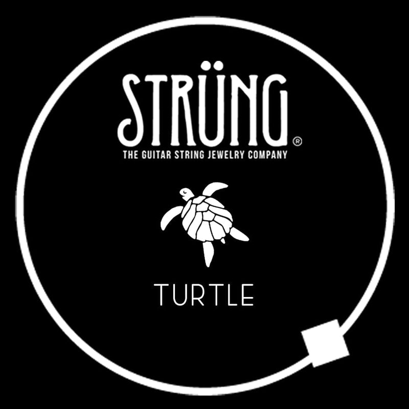 Strung guitar string jewelry, turtle, The Turtles, Happy Together, find your song