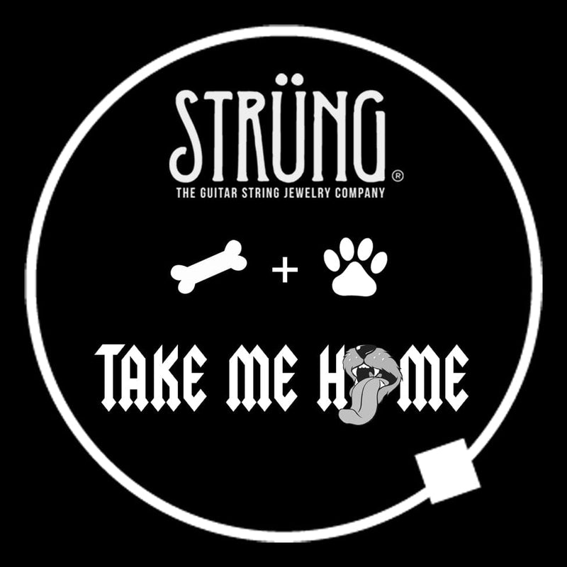 The Paw - perfect bracelet for the pet & music lover! Dog, Dog Paw, Take Me Home Rescue, Guitar String Bracelet, Strung, Get Strung, Find Your Song