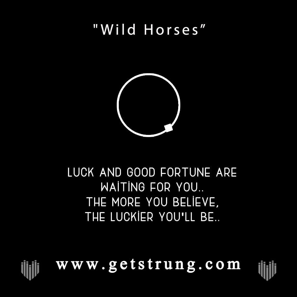 HORSE SHOE – “WILD HORSES”