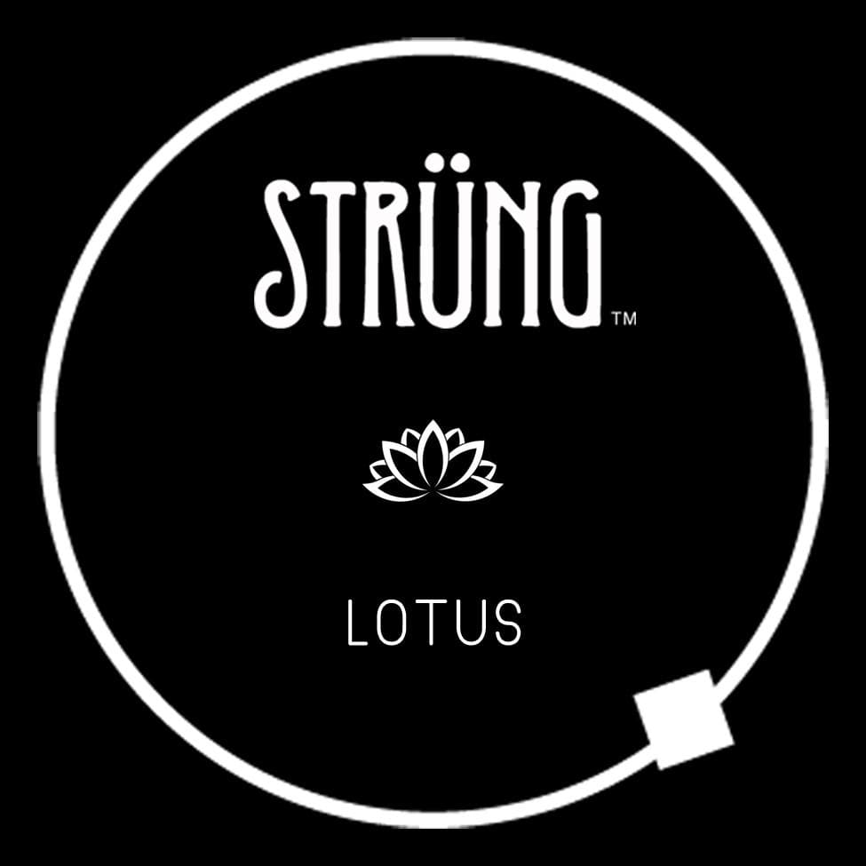 LOTUS – “WALKING ON SUNSHINE”