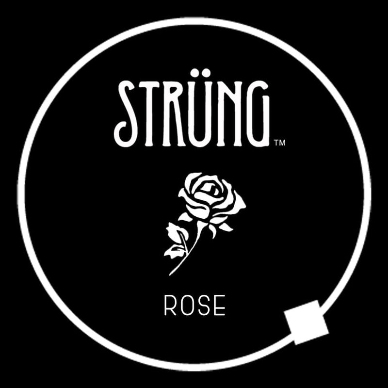 ROSE – “EVERY ROSE HAS ITS THORN”