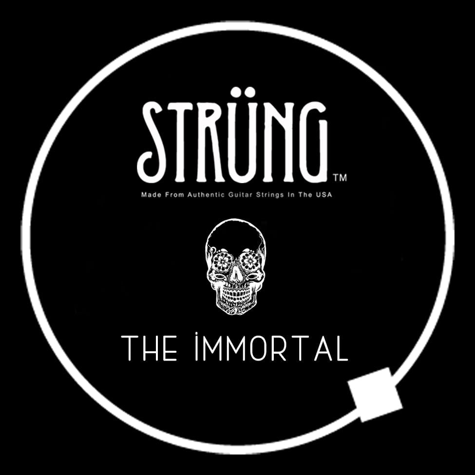Strung the Guitar String Jewelry Company Guitar String Bracelet The Immortal Inspired by the song Fade to Black Metallica, Gift For Musician, Gift for Guitarist, Gift for Music Lover
