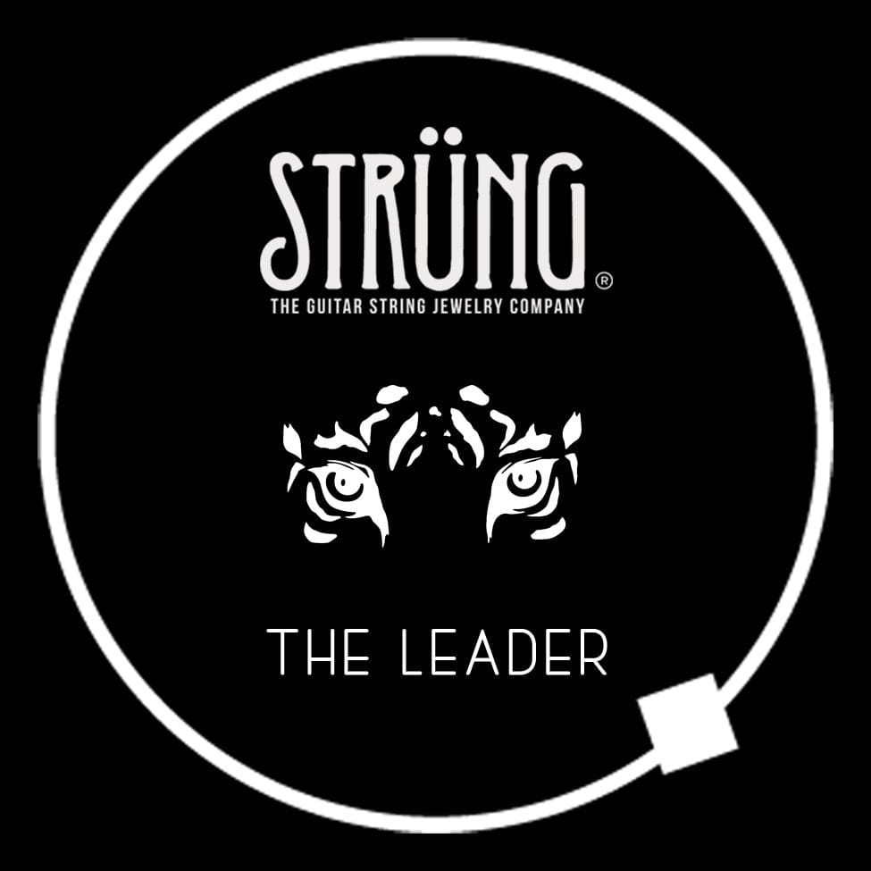 Strung the Guitar String Jewelry Company Guitar String Bracelet The Leader Inspired by the song Simple Man, Lynyrd Skynyrd, shinedown, Gift For Musician, Gift for Guitarist, Gift for Music Lover, Brown Tigers Eye Beads, Rock Bracelet